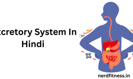 Excretory System In Hindi