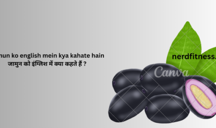 Jamun ko english mein kya kahate hain