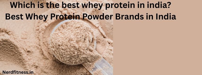 Which is the best whey protein in india?2026