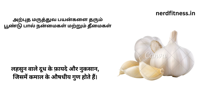 அற்புத மருத்துவ பயன்களை தரும் பூண்டு பால் நன்மைகள் மற்றும் தீமைகள்