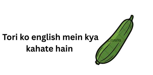 Tori ko english mein kya kahate hain