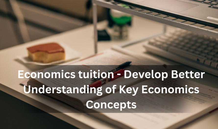 Economics tuition – Develop Better Understanding of Key Economics Concepts